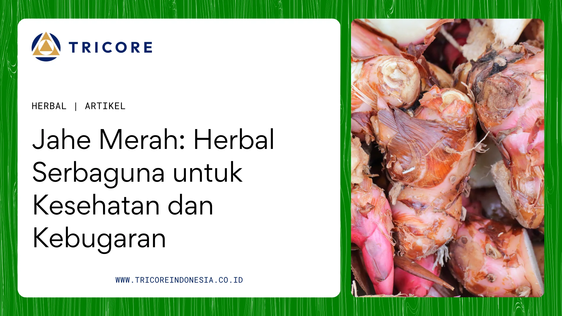 jahe merah