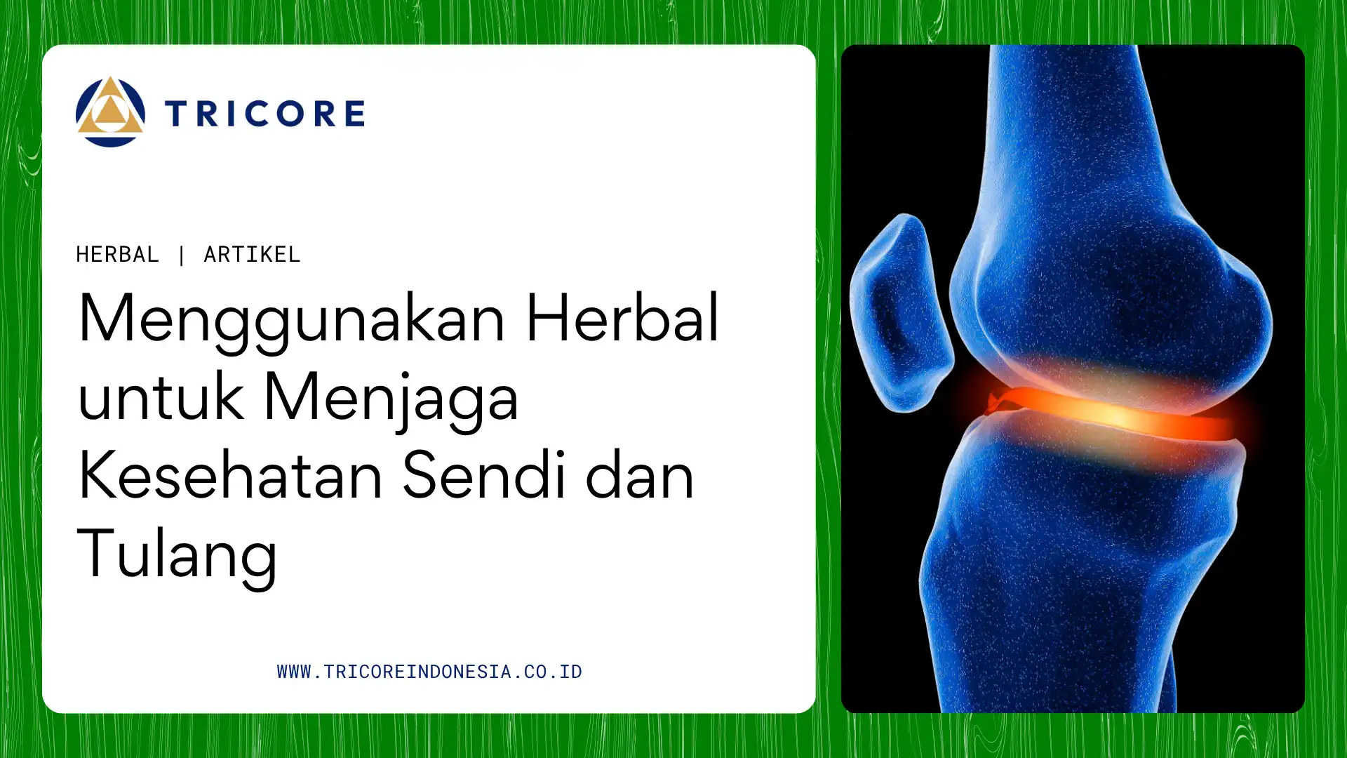 sendi dan tulang