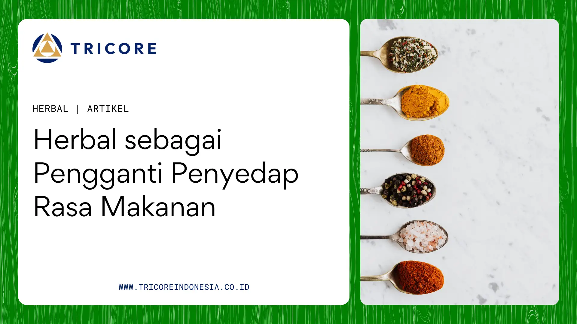 penyedap rasa